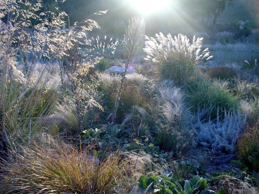 goldney's garden