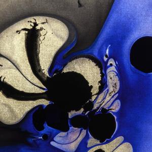 The Petri Dish Project - Butterfly Effect (3)