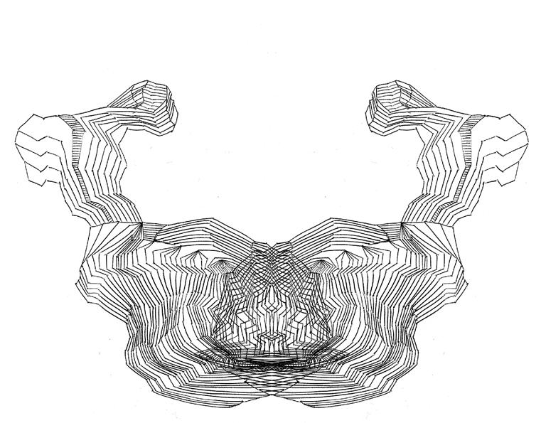 No. 14, 'anti' or 'fearful symmetry' series (click on image for animation)