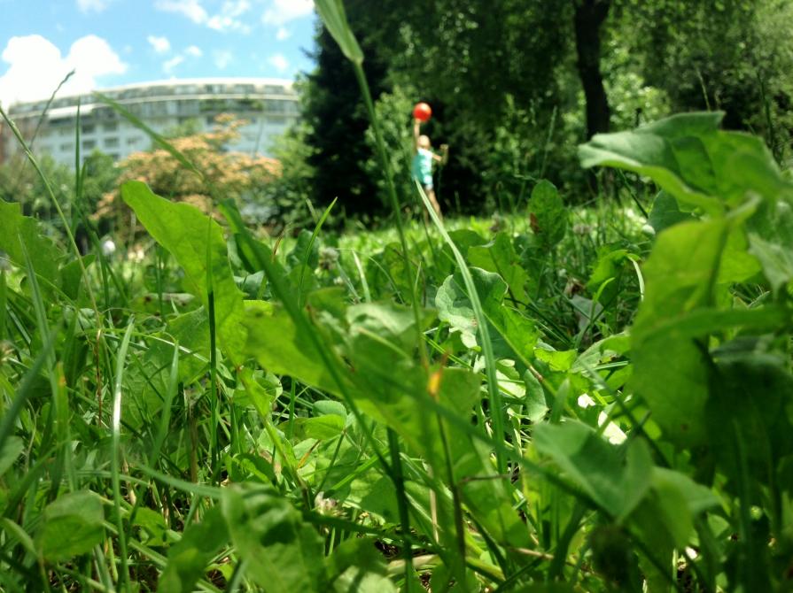 ....ci tocca scappare nel verde del profondo grigio