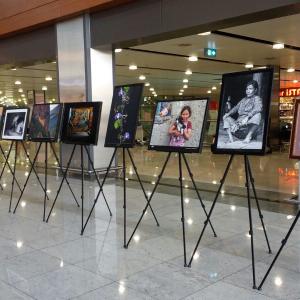  ANAFOD (Istanbul Anatolian Side Photographic Arts Society) -Sabiha Gokcen International Airport Photo Exhibition