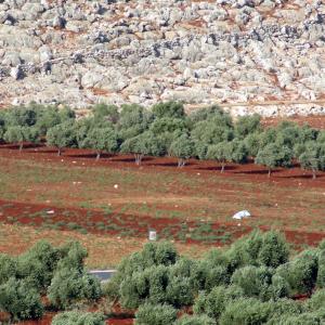 Syria. Men and stories of stone