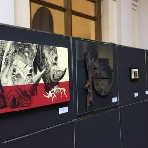 Artists 4 Rhino