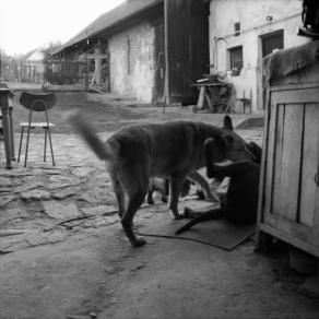 Rural life in the Czech Republic