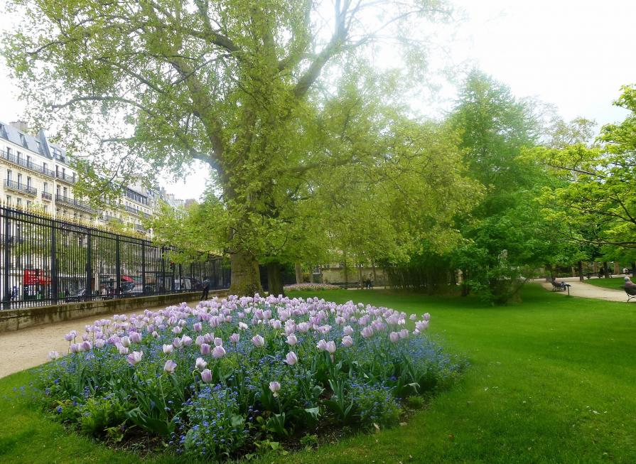 Le printemps au Jardin du Luxembourg