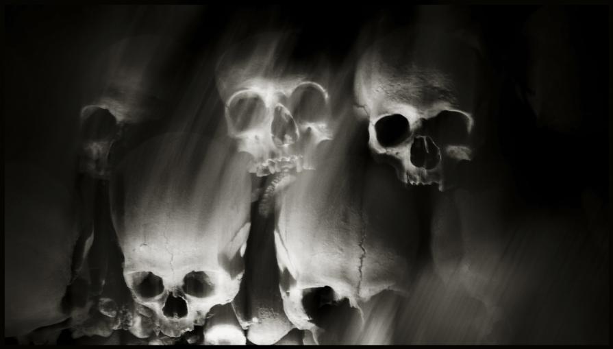 Skulls (Skull, Teschi, Teschio) - fotografia di Augusto De Luca. 35