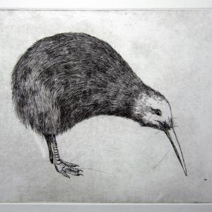 kiwi