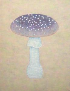 Miho  Iwahashi - mushroom