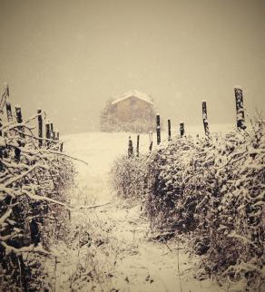 ....e intanto fuori nevica.