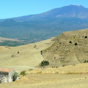 Italy. Sicily, Enna colors of summer