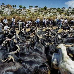 Summer Photo School at Aegean