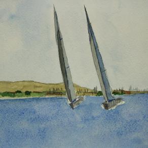 La regata