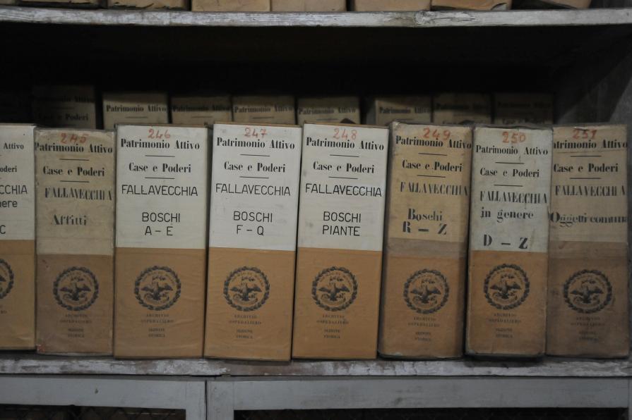 I documenti dell'archivio storico dell'ospedale maggiore Ca' granda, milano