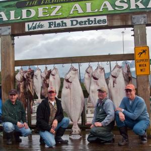 USA. Alaska 1/3. Life forms