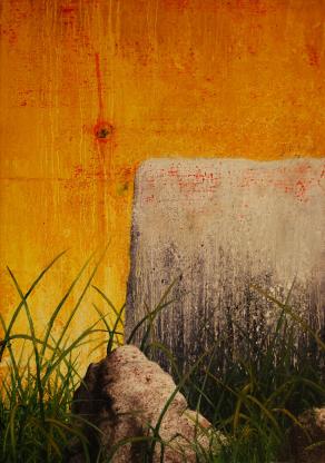 LANDSCAPE'S FRAME 2010 59X35CM