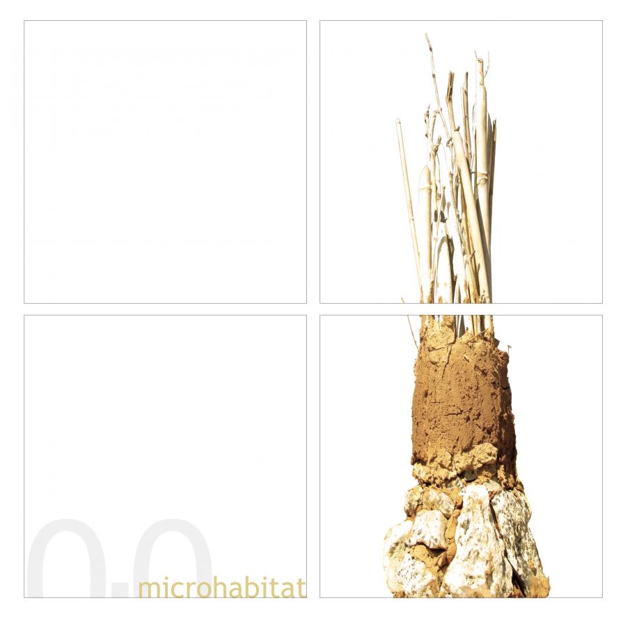 microhabitat 0.0