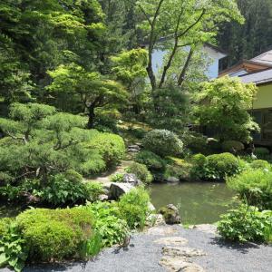 Personal Experience: The temple garden