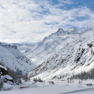 Italy. Val d'Aosta. White and his reflexes