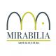 Mirabilia Art Gallery