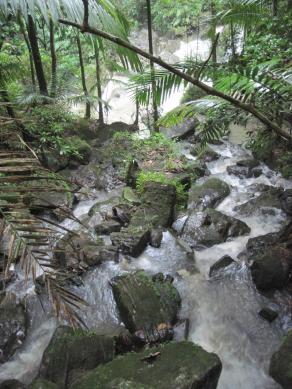 El Yunque, PR