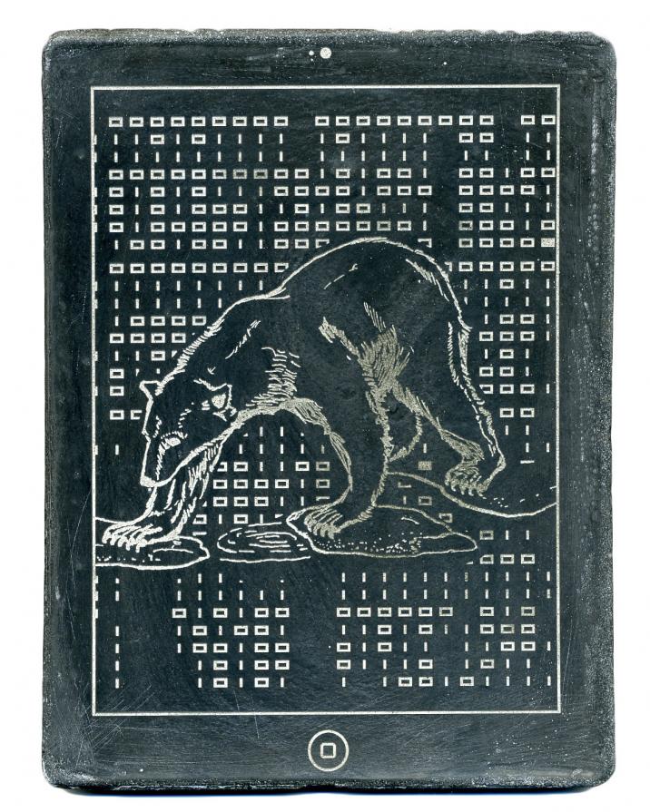 CODEX (bear)