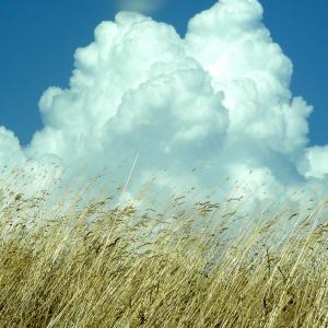 Italy. Basilicata. Potenza (2)