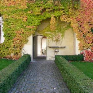 Italy. Trentino Alto Adige. Autumn colors