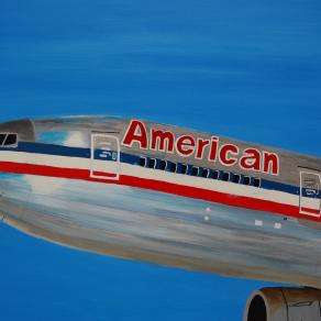 America Airlines  Flight number 8108