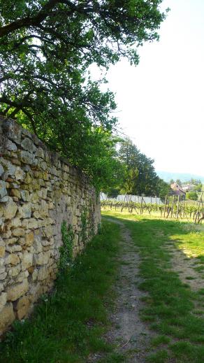 Chemin de ronde