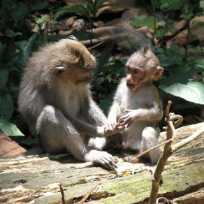 Mother and Son