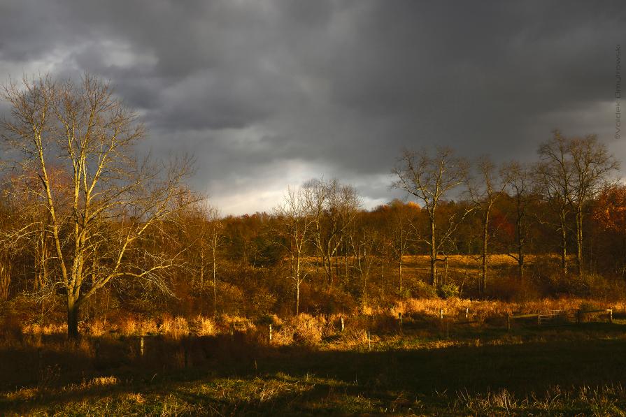 Fall Landscape II. Red Hook, NY