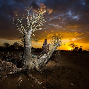 The Arms of Nature