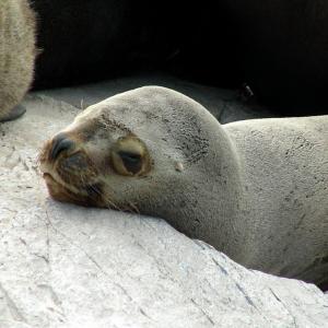 Argentina, Patagonia