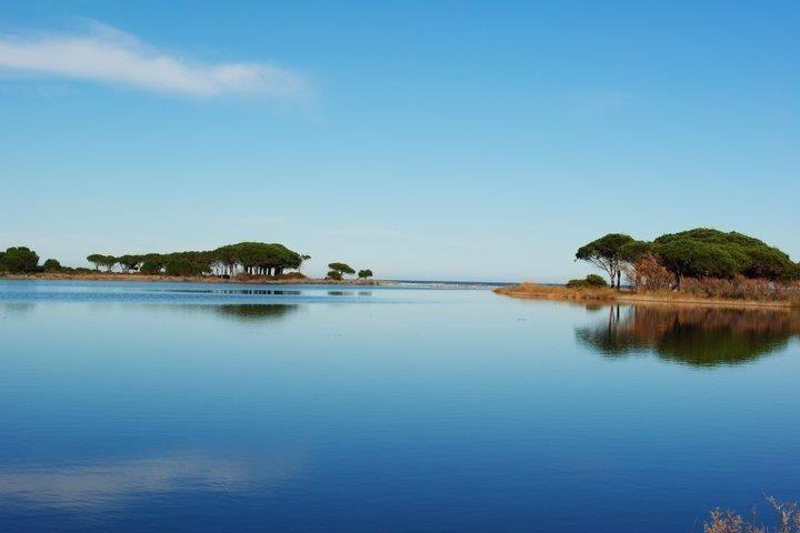 Stagno di Salamaghe e cielo e alberi e mare di Budoni