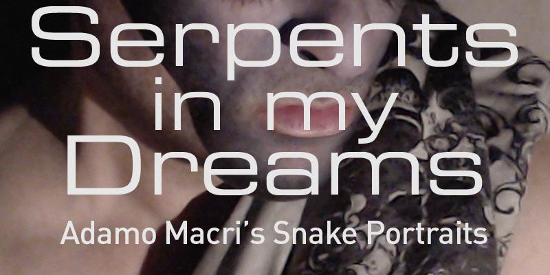 Serpents in my Dreams: Adamo Macri’s Snake Portraits