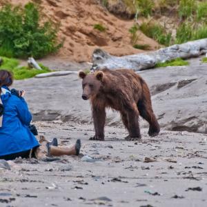 USA. Alaska 1/3. Life forms