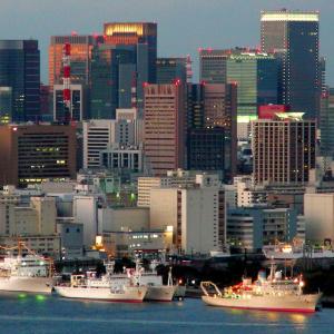 Japan. Tokyo lines / skyline