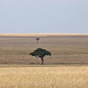 La mia Africa