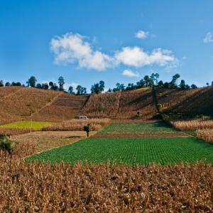 Guatemala. Tierras Mayas 2/2