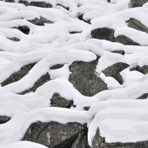 Italy. Val d'Aosta. White and his reflexes