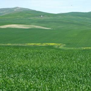 Italy. Basilicata. Potenza (1)