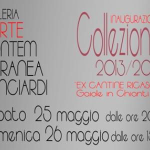 Collezione 2013/2014 