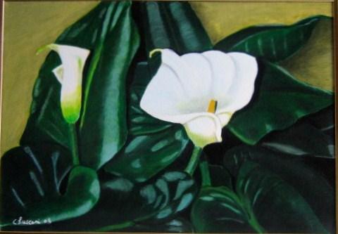 "calla"