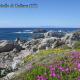 Portobello di Gallura (OT) Sardegna del Nord