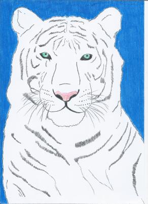 The white tiger