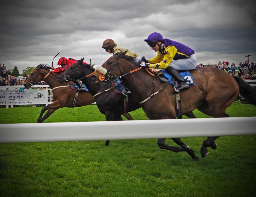 Ripon Races