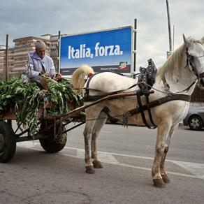 "Italia, Forza"