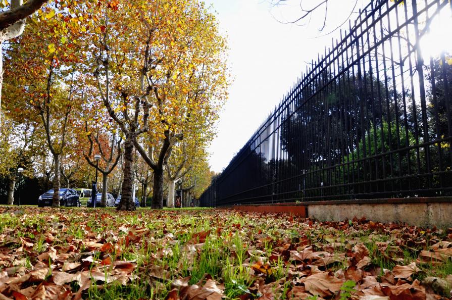 Colori d'autunno - Panoramica