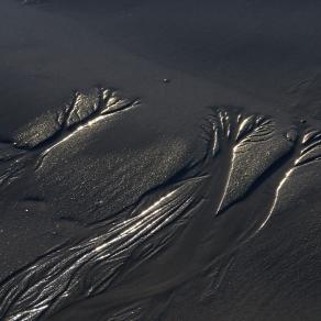 Sea prints in the sand