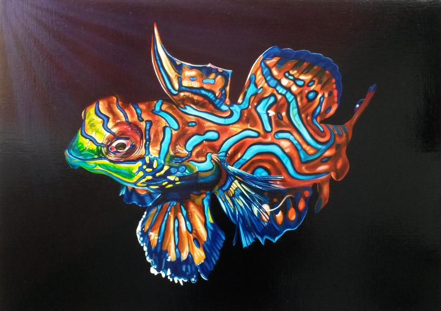 "MANDARIN FISH"